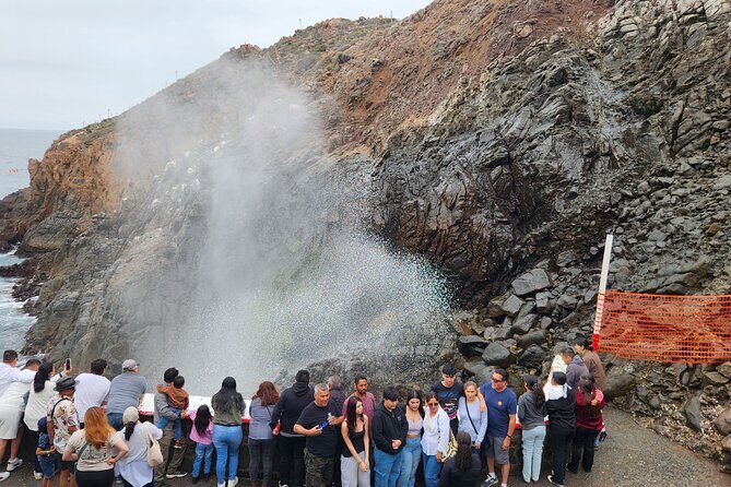 La Bufadora Shore Excursion with Tacos and Tequila Adults Only - Key Points