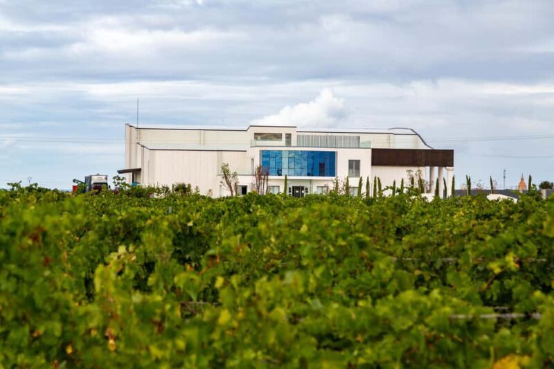 LA CAJA DE PANDORA - The Practicalities and Value