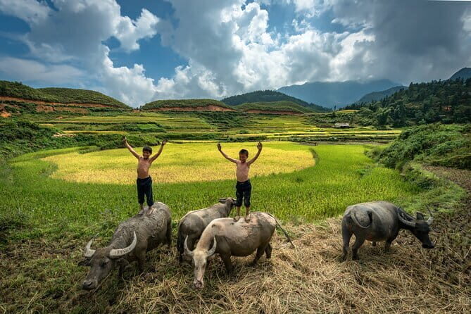 La Charm Cruise 3 Days from Hanoi - FAQs