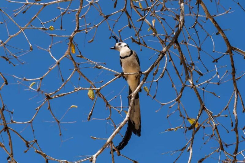 La Crucecita: Hiking and Snorkling/ Drinks and Fruits - Key Points