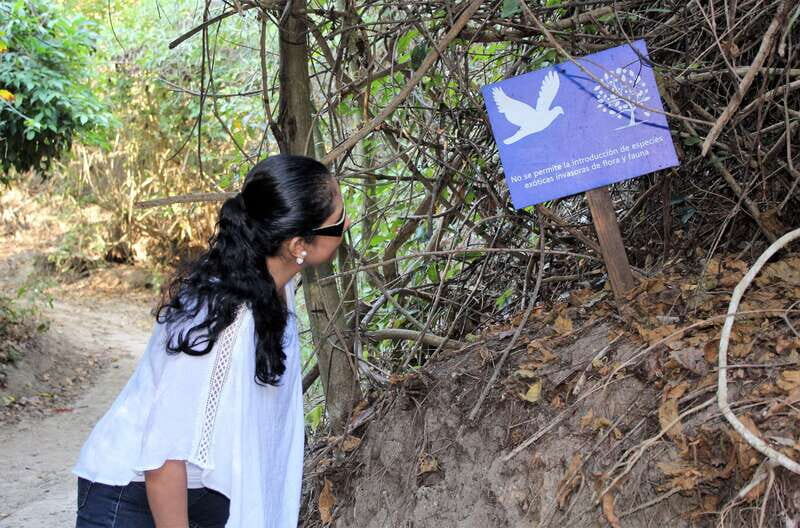 La Crucecita: Hiking and Snorkling/ Drinks and Fruits - Who Will Love This Tour?