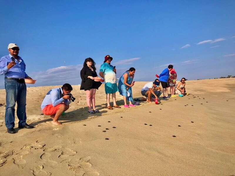 La Crucecita: Magic Lagoon Bioluminescence and Turtles Tour - La Crucecita: Magic Lagoon Bioluminescence and Turtles Tour — A Detailed Review