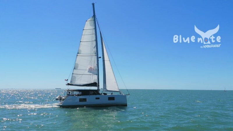 La Flotte, Ile de Ré: Sailing Catamaran Cruise - Key Points