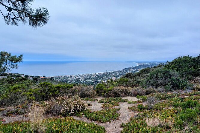 La Jolla Electric Bike Tour - Who Would Love This Tour?