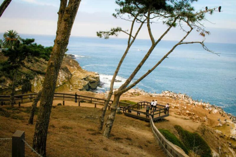 La Jolla Free fall Electric Bike Tour - Authentic Reviews and What Participants Say