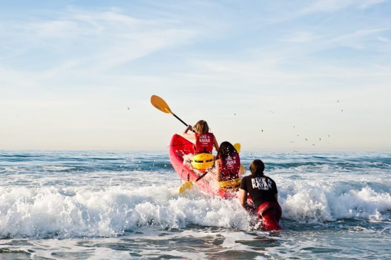 La Jolla: Sunset Kayak Tour of the 7 Caves - FAQ