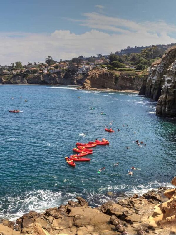 La Jolla - The Jewel of San Diego - Guided Walking Tour - Key Points