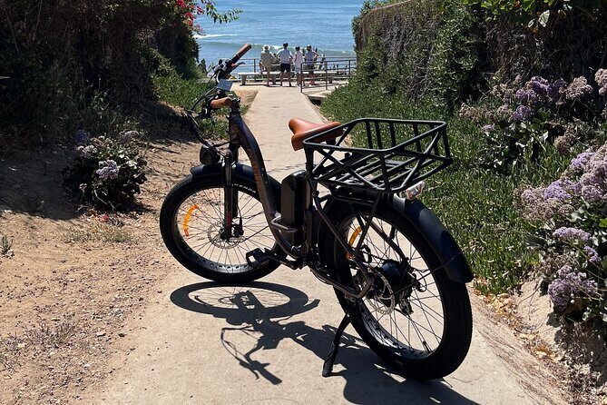 La Jolla's Best Coastal Electric Bike Tour - The Value of the La Jolla Coastal E-Bike Tour