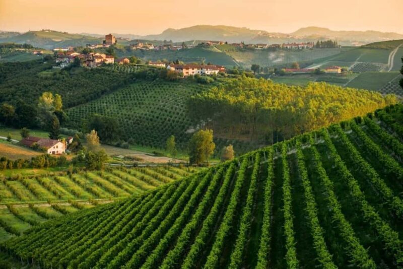 La Madama: A Journey through Piedmont's Tradition and Wines - An In-Depth Look at La Madama’s Experience