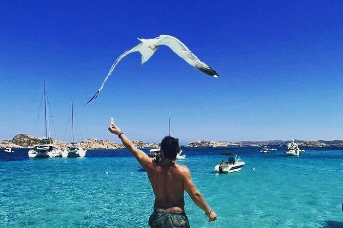 La Maddalena Archipelago Boat Tour with lunch - The Itinerary in Detail