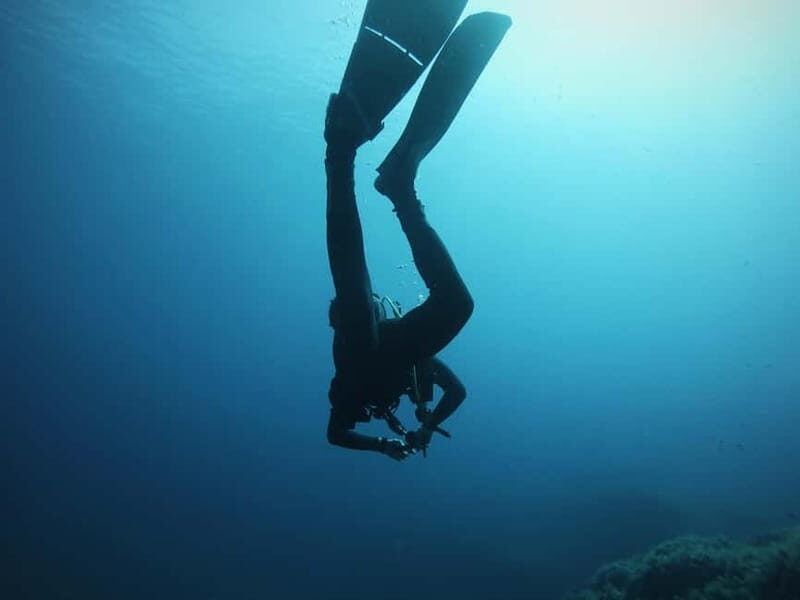 La Maddalena Archipelago & Lavezzi: Adventure Dives trip - Key Points