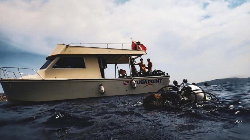 La Maddalena Archipelago & Lavezzi: Adventure Dives trip - Scenic Departure and Comfortable Transport