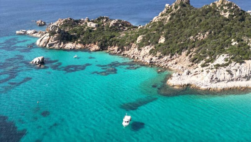 La Maddalena Archipelago & Lavezzi: Adventure Dives trip - Underwater Encounters and Marine Biodiversity