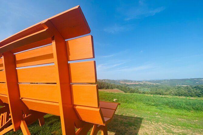 La Maliosa Farm Experience & Wine Tasting - The Experience at a Glance