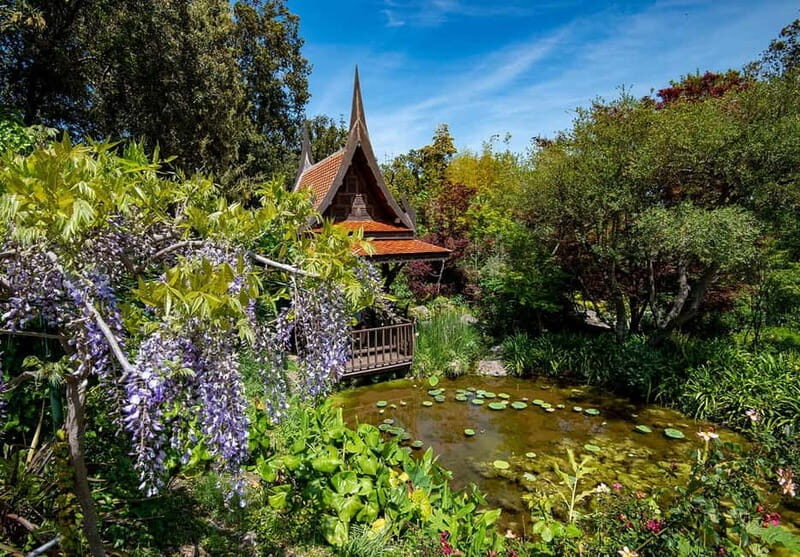 La Mortella Gardens excursion from Ischia - Key Points