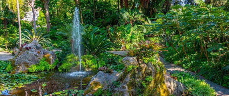 La Mortella Gardens excursion from Ischia - An In-Depth Look at the La Mortella Gardens Tour