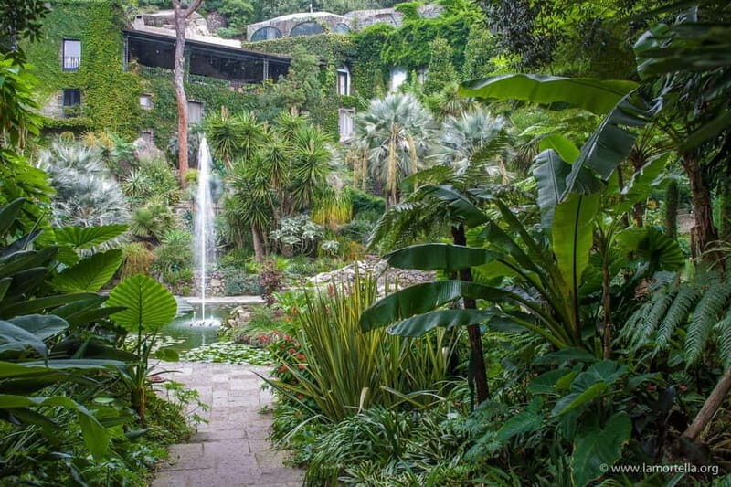 La Mortella Gardens excursion from Ischia - Final Thoughts: Is This Experience Worth It?