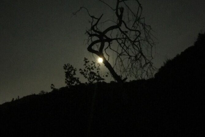 LA Night Hikers - Key Points