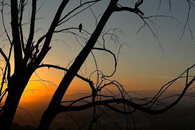 LA Night Hikers - Frequently Asked Questions