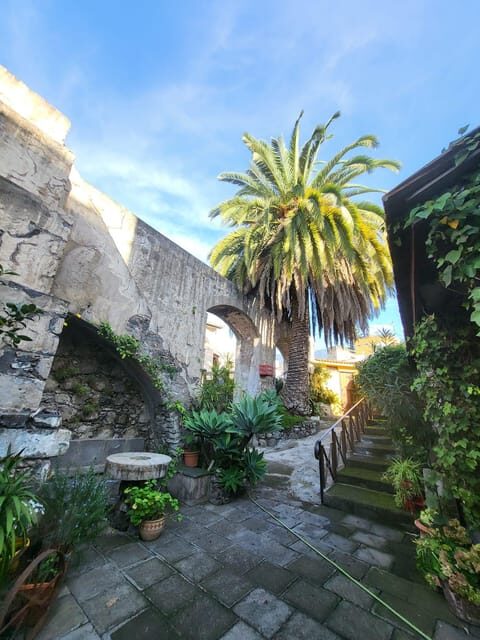 La Orotava: guided tour with gofio tasting, Los Molinos de la Villa - The Itinerary: A Step-by-Step Exploration