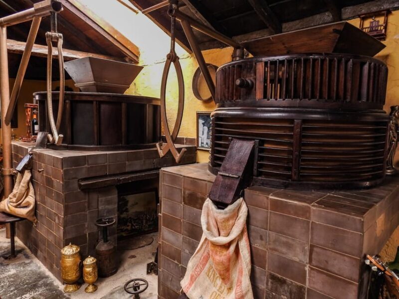 La Orotava: guided tour with gofio tasting, Los Molinos de la Villa - Authenticity and Unique Insights