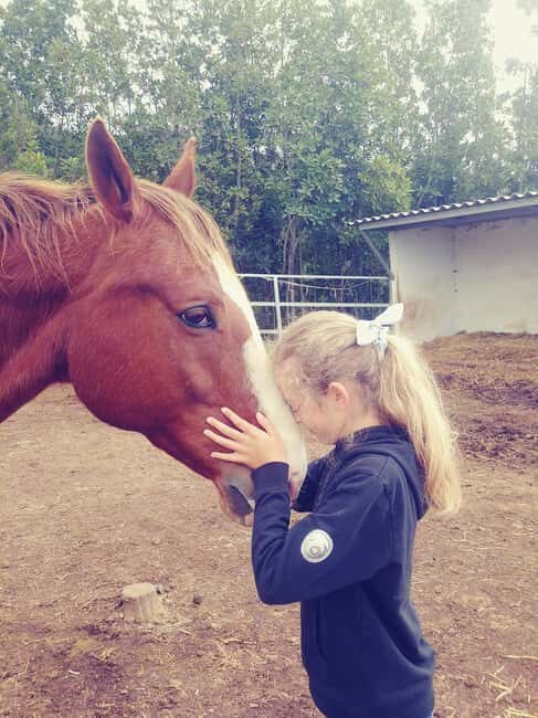 La Orotava: Workshop "Natural Horsemanship" and Permaculture - Key Points