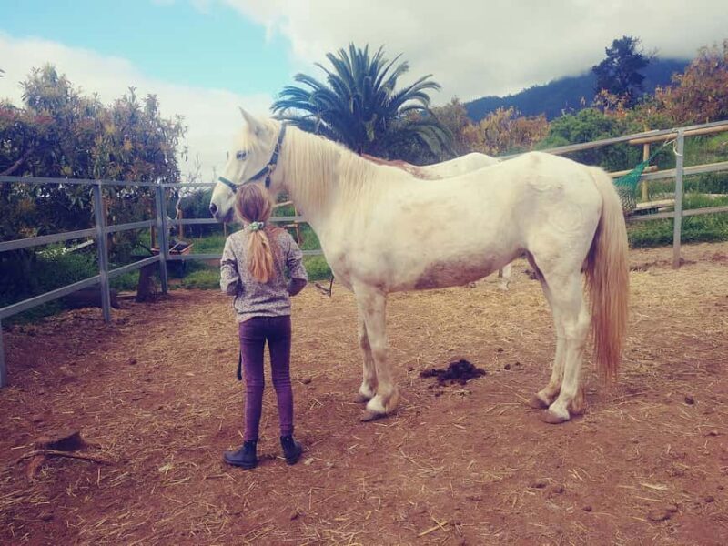 La Orotava: Workshop "Natural Horsemanship" and Permaculture - Frequently Asked Questions