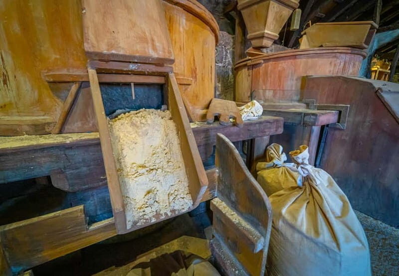 La Orotava:Casa de los Balcones & Molino del Hoyo Gofio Mill - Who Would Love This Experience?