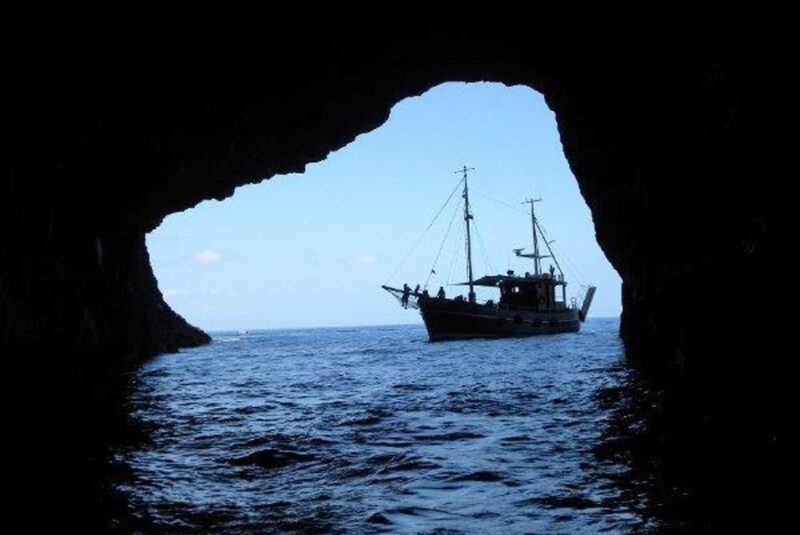 La Palma: 4 Stunden Bussard Classic Tour - FAQs