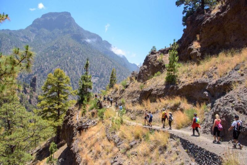 La Palma: Caldera de Taburiente National Park Guided Hike - The Sum Up