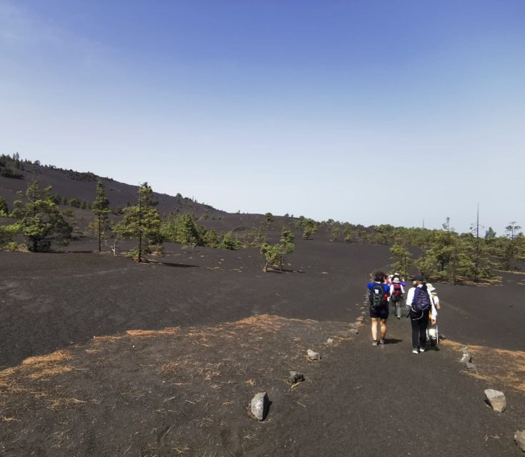 La Palma: Guided Tour to Tajogaite Volcano with Transfer - The Value of the Tour