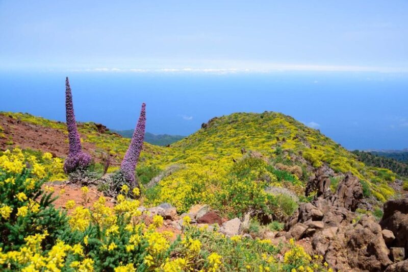La Palma: Guided Trekking Tour to El Roque de los Muchachos - Is This Tour Worth It?