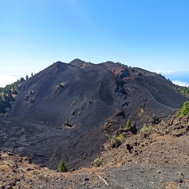 La Palma: Guided trekking tour to volcanoes south - Reviews and Authentic Insights