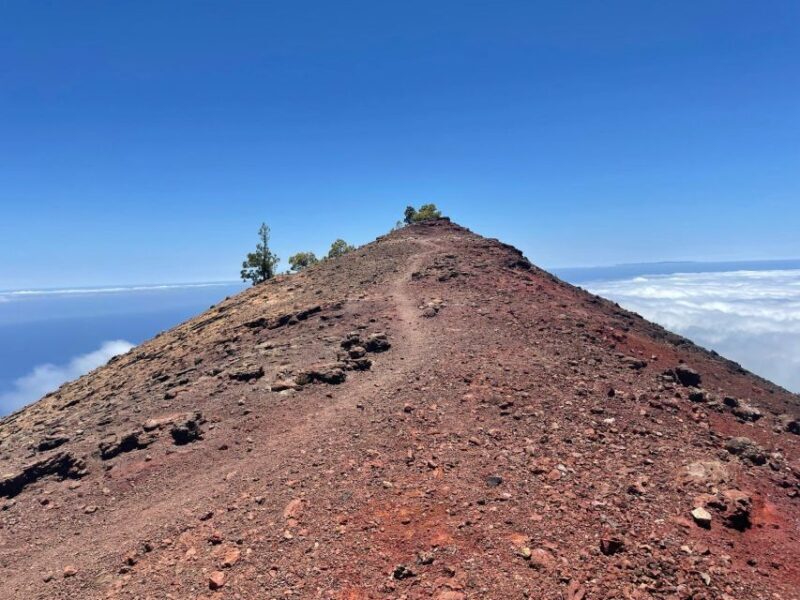 La Palma: Guided trekking tour to volcanoes south - The Sum Up