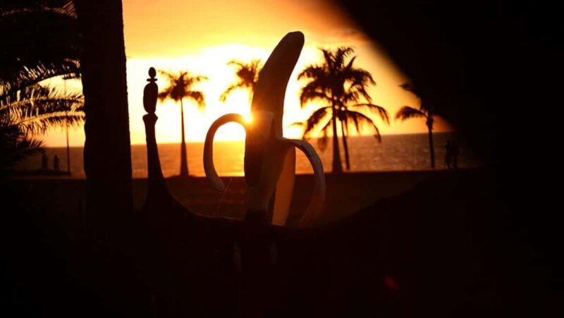 La Palma: PlatanoLógico Edible Forest Tour - Starting Point and Access