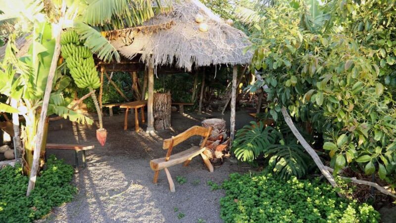 La Palma: PlatanoLógico Edible Forest Tour - What’s Included and How It Adds Value