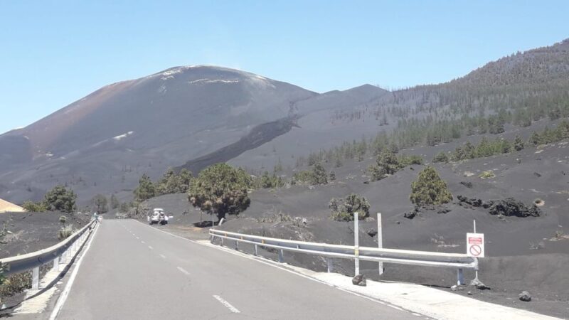La Palma: San Antonio and Teneguia Volcanos Tour by 4x4 Bus - Key Points