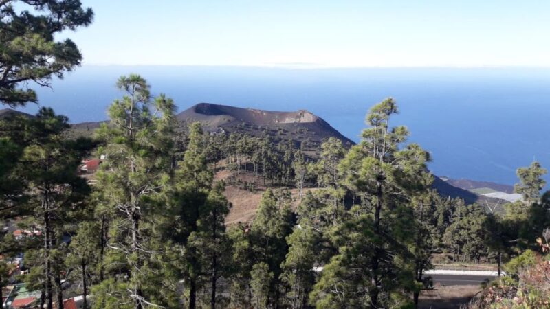 La Palma: San Antonio and Teneguia Volcanos Tour by 4x4 Bus - What to Expect on the Tour