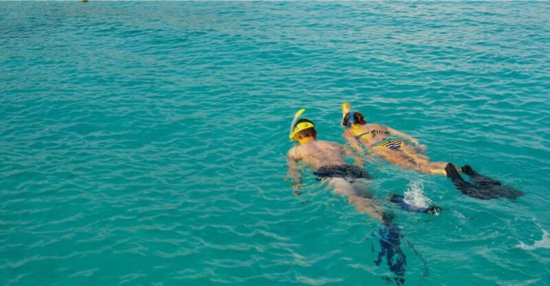 La Palma : Snorkeling Tour in Los Cancajos - Key Points