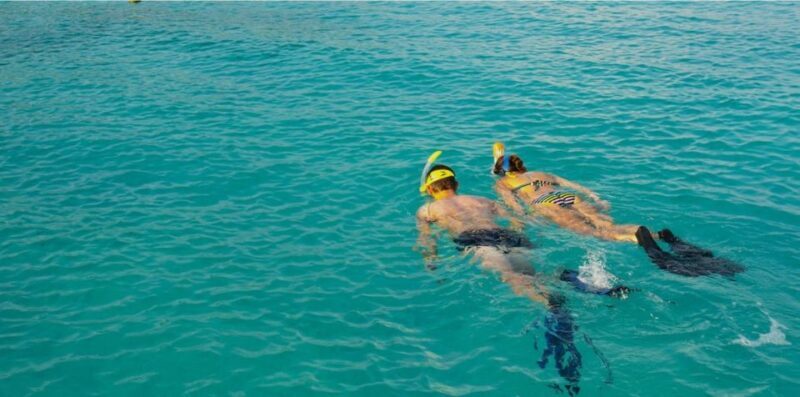 La Palma : Snorkeling Tour in Los Cancajos - The Sum Up