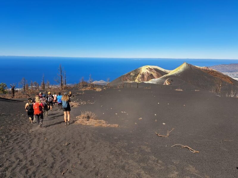 La Palma: Tajogaite Volcano Guided Trek - Key Points