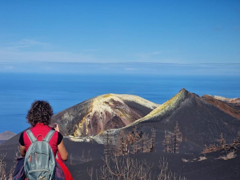 La Palma: Tajogaite Volcano Guided Trek - Value for Money and Practical Tips