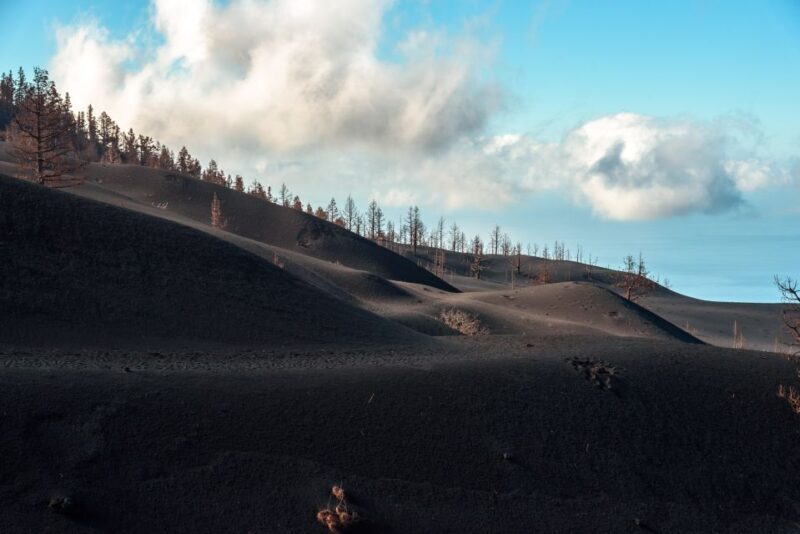 La Palma: Tajogaite Volcano Guided Trek - Who Will Love This Tour?