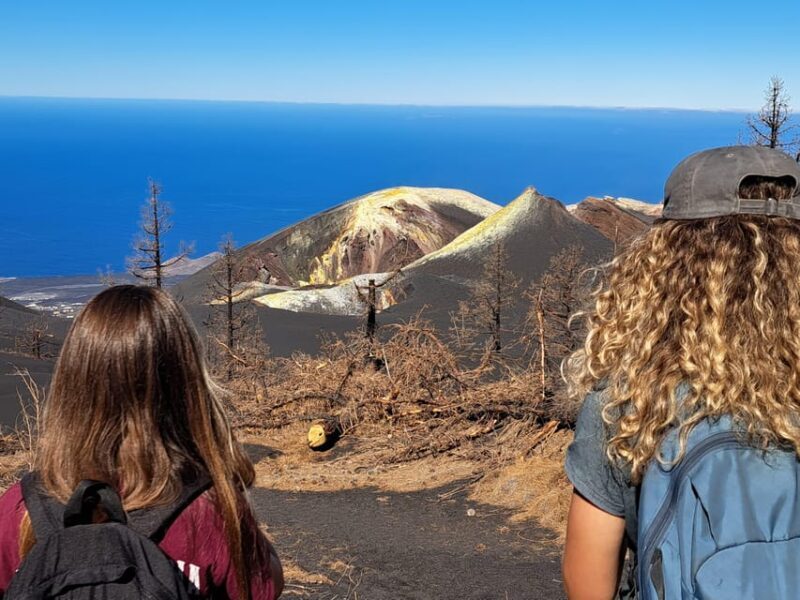 La Palma: Tajogaite Volcano Guided Trek - Final Thoughts