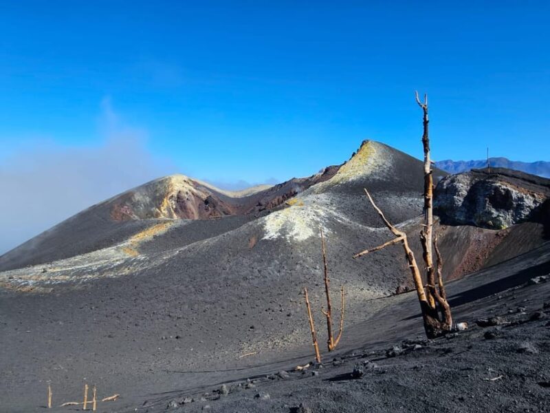 La Palma: Tour to the new Tajogaite volcano 360º. - A Detailed Look at the Tajogaite Volcano Tour