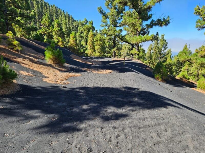 La Palma: Tour to the new Tajogaite volcano 360º. - FAQ