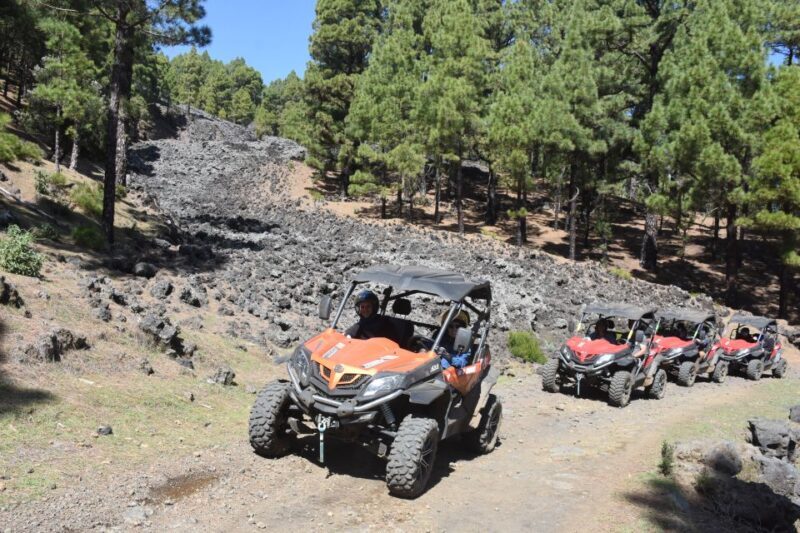 La Palma: Volcano Route Buggy Tour - Final Descent and Return