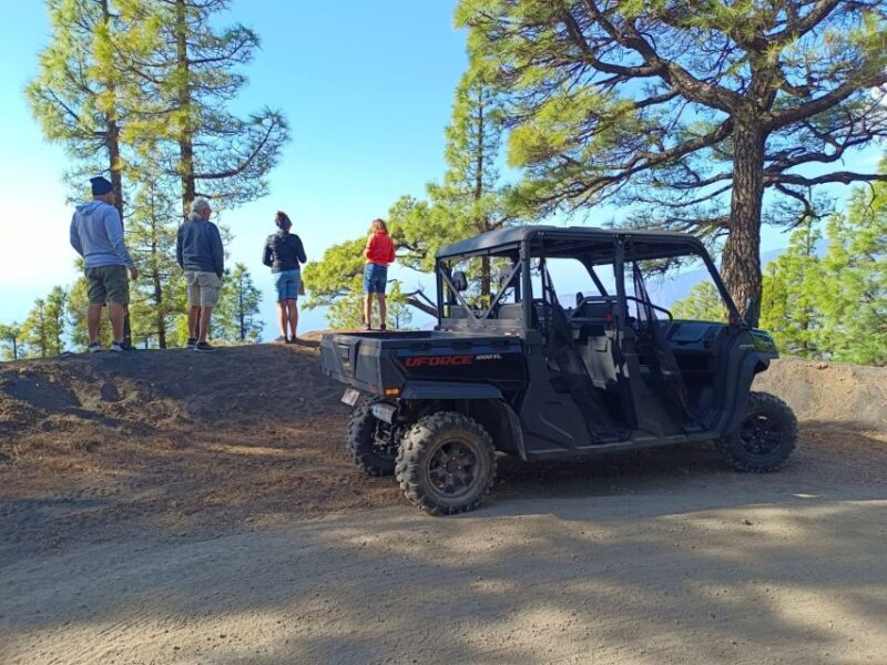 La Palma: Volcano Route Buggy Tour - Practical Tips for Travelers