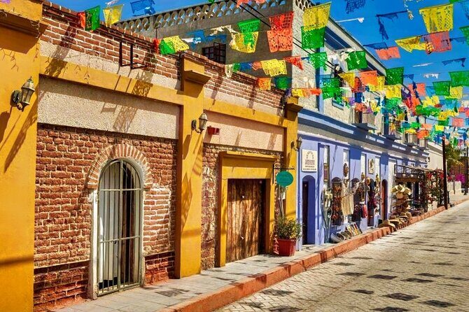 La Paz and Todos Santos Day Trip with Lunch - Transport and Group Size: What Makes It Comfortable