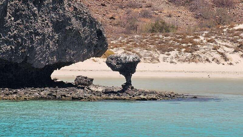 La Paz: Balandra Beach Luxury Yacht Charter Cruise - Authentic Feedback: What Travelers Say